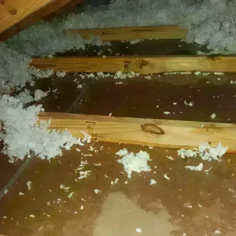 Attic Water Damage in West Gate, FL