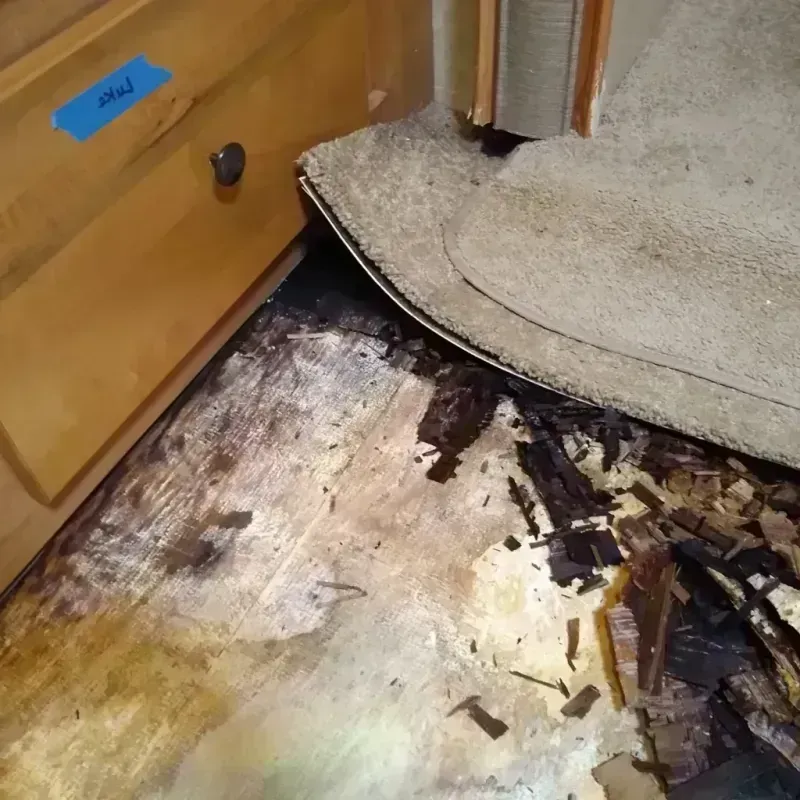 Wood Floor Water Damage in West Gate, FL